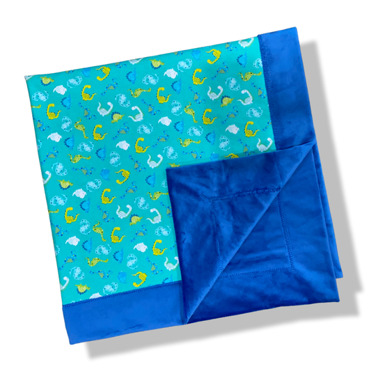 Dinosaur Bordered Minky Blanket