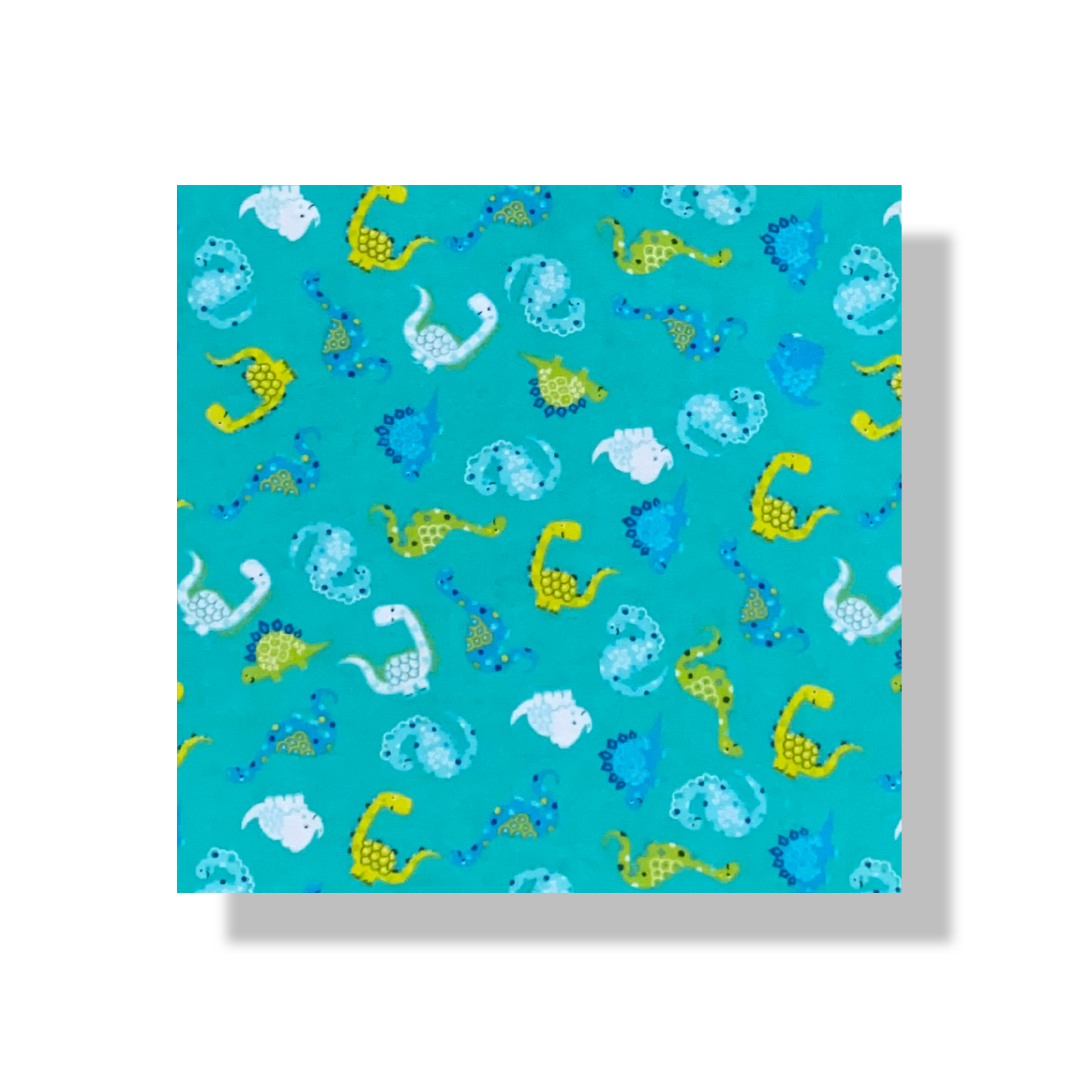 Dinosaur Bordered Minky Blanket