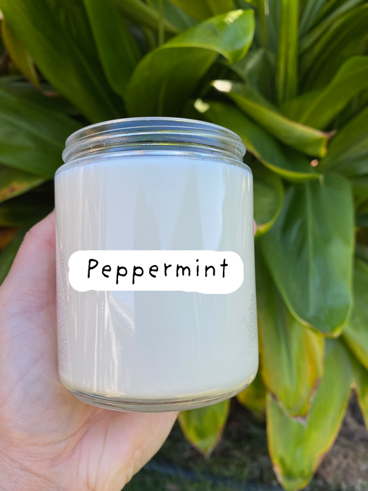 You're Spam-tastic Candle Valentine's Gift Box - Peppermint
