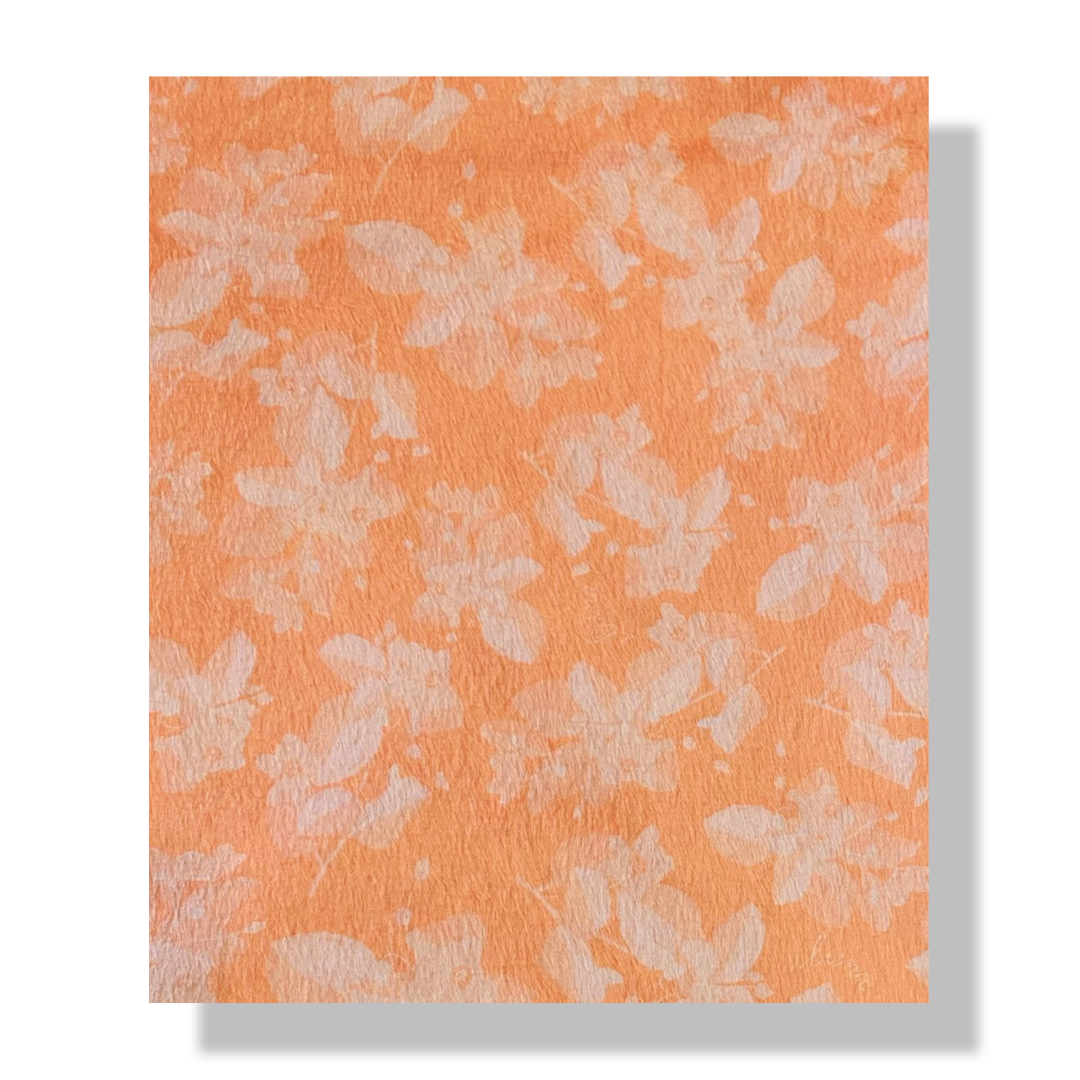 'Ilima Twin-Sized Minky Blanket