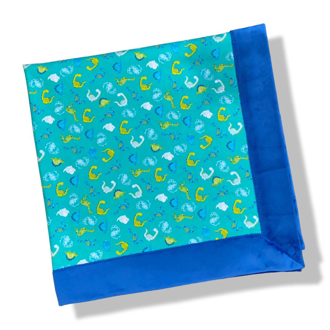 Dinosaur Bordered Minky Blanket