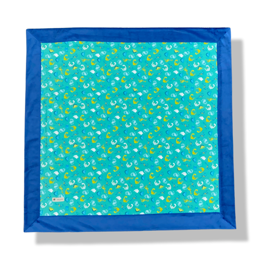 Dinosaur Bordered Minky Blanket