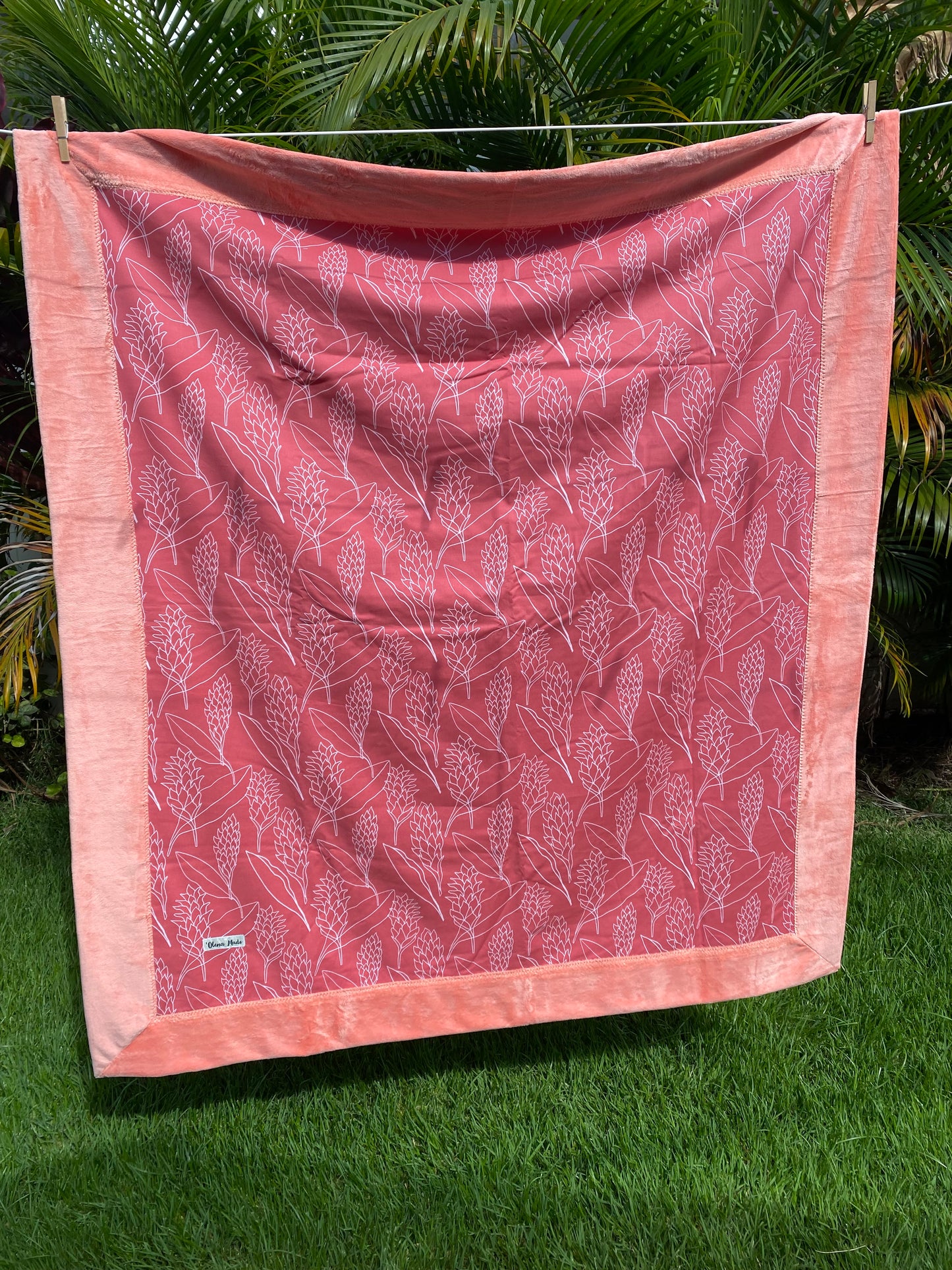 Pink Ginger Minky Blanket