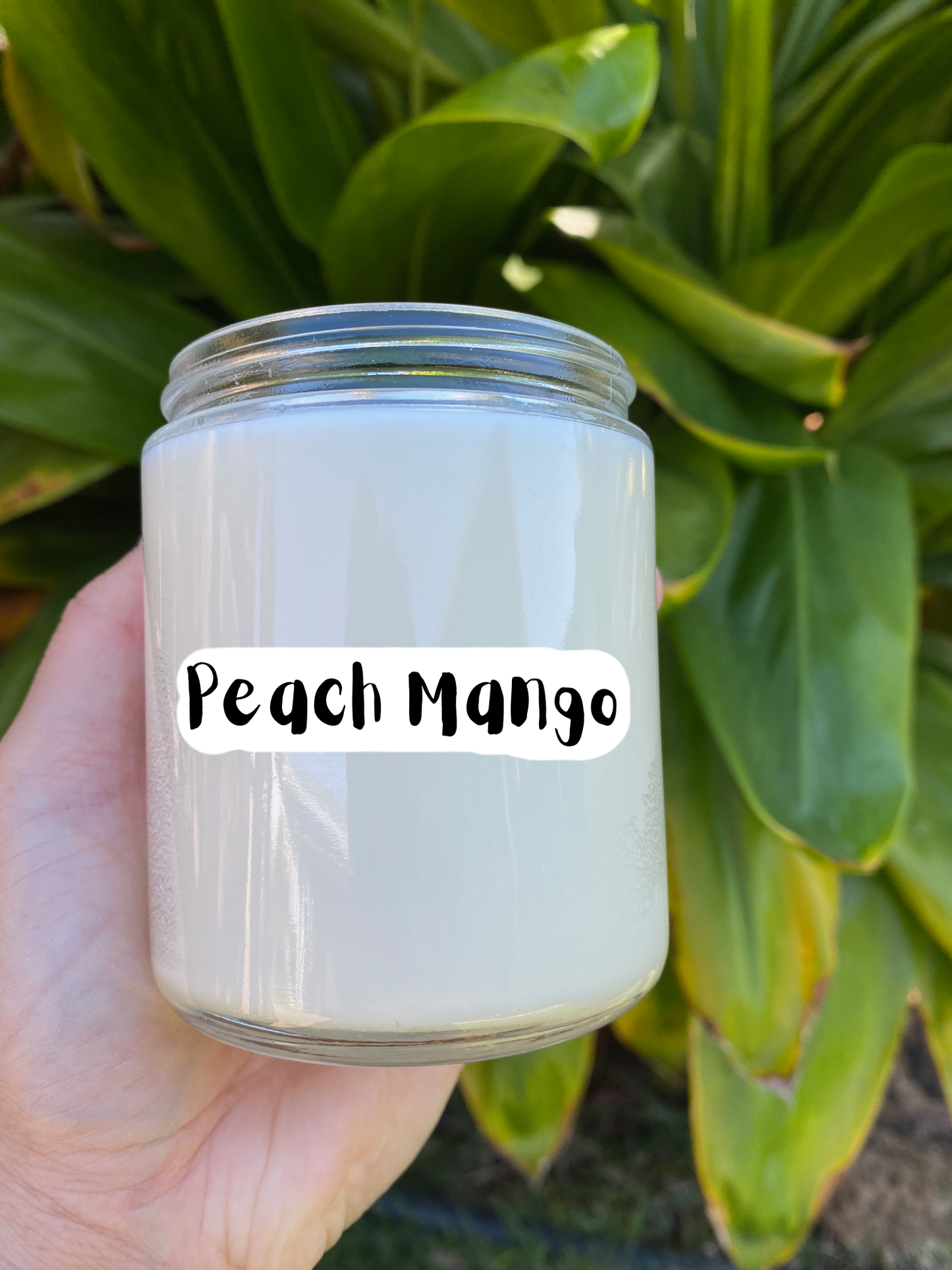 Tako 'Bout Cute Candle Valentine's Gift Box - Peach Mango